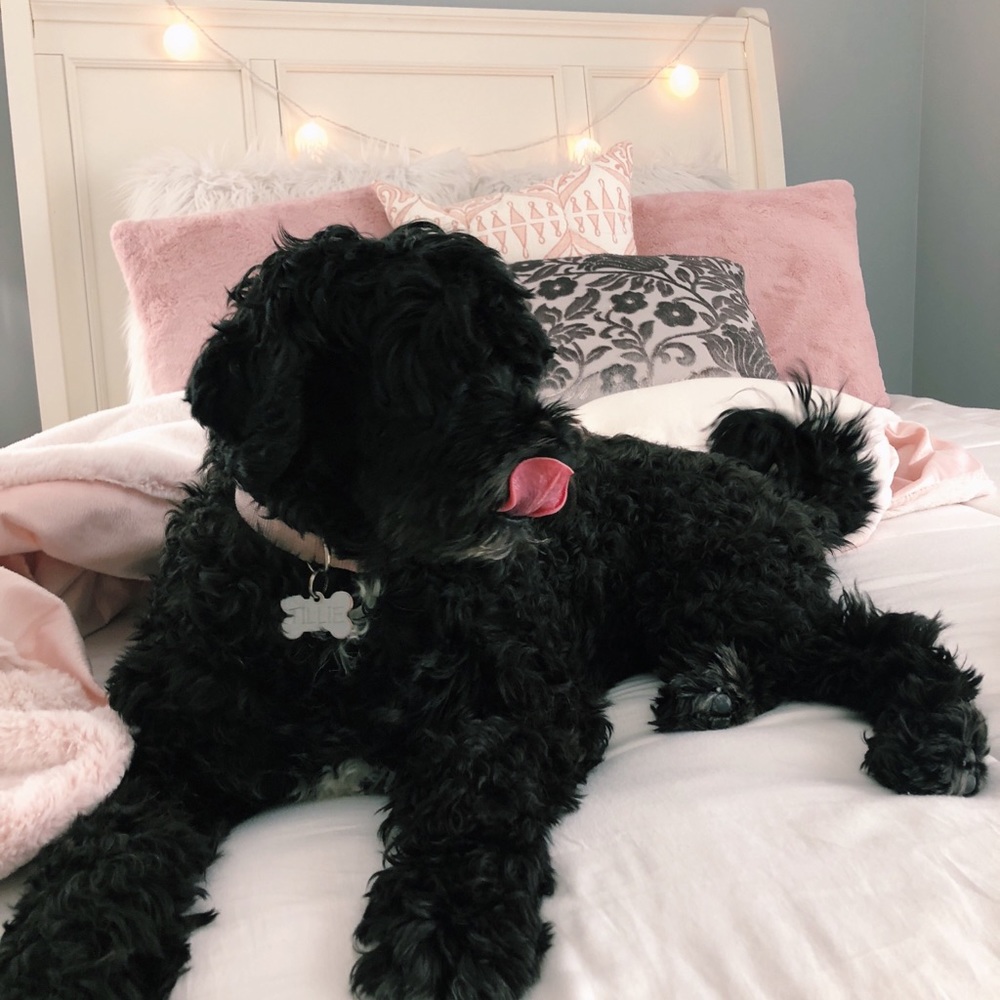 Meet your Posher, Gigi